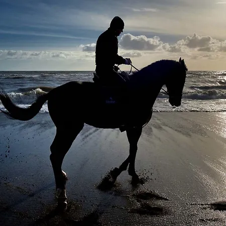 Il Fogliano New Life Hotel