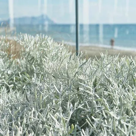 Il Fogliano New Life