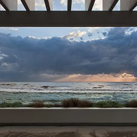 Il Fogliano New Life Latina