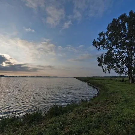 Il Fogliano New Life Latina