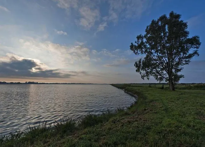 Il Fogliano New Life 라티나